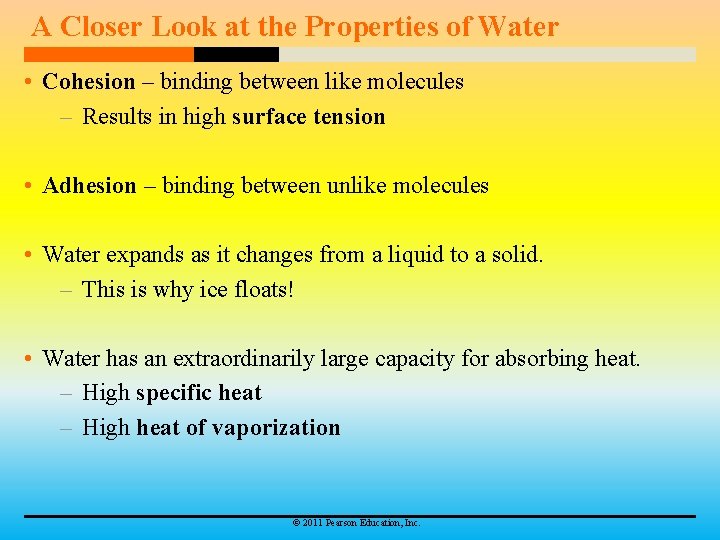 A Closer Look at the Properties of Water • Cohesion – binding between like