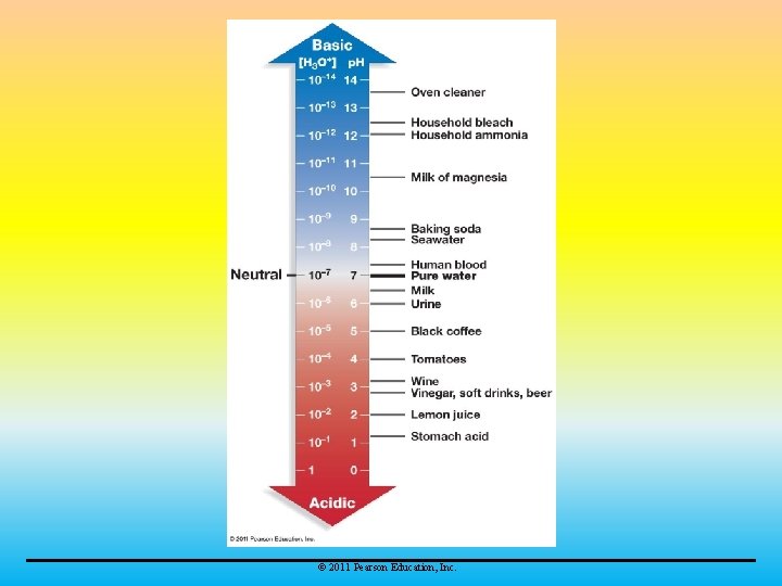 © 2011 Pearson Education, Inc. 