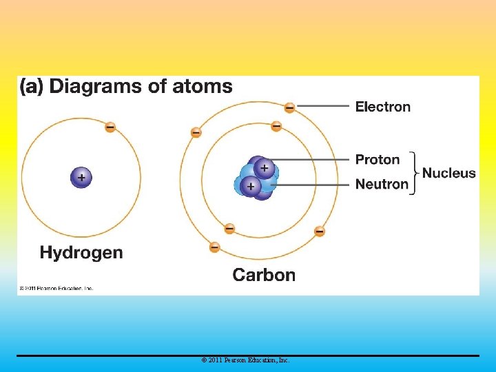 © 2011 Pearson Education, Inc. 