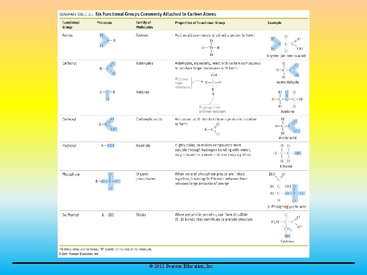 © 2011 Pearson Education, Inc. 