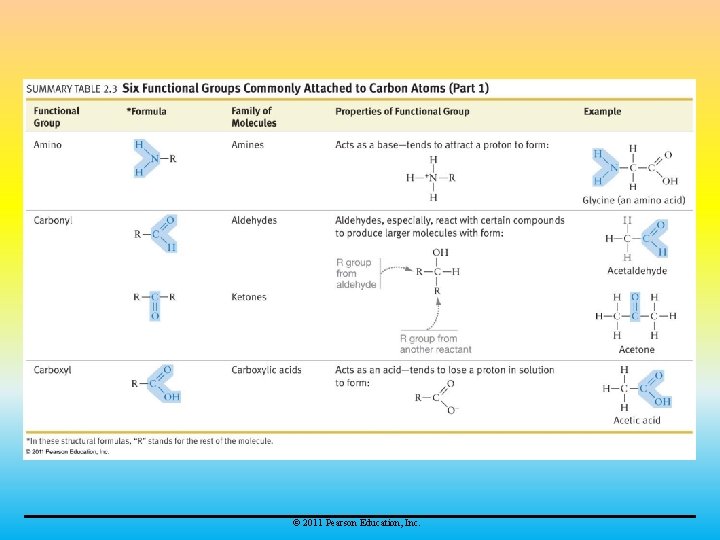 © 2011 Pearson Education, Inc. 