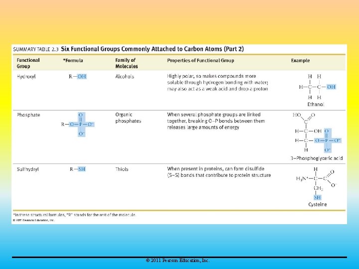 © 2011 Pearson Education, Inc. 