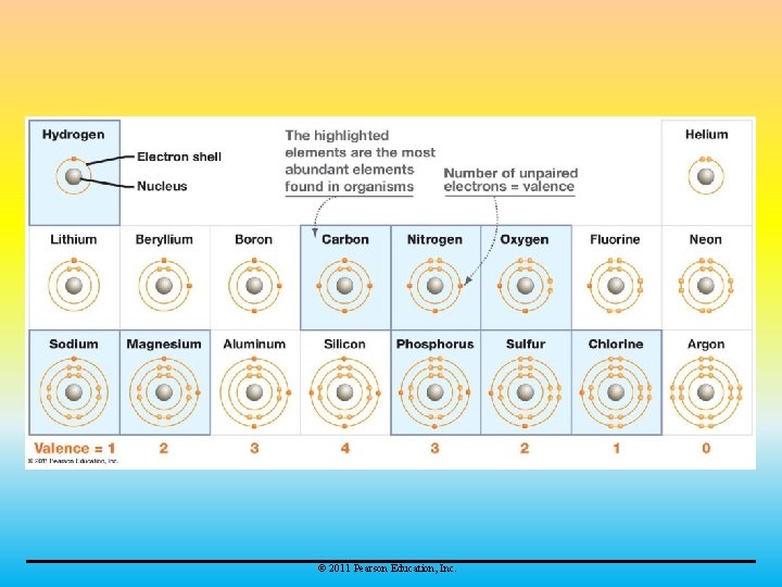 © 2011 Pearson Education, Inc. 