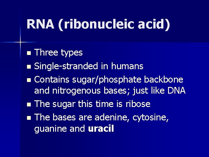 RNA (ribonucleic acid) Three types n Single-stranded in humans n Contains sugar/phosphate backbone and