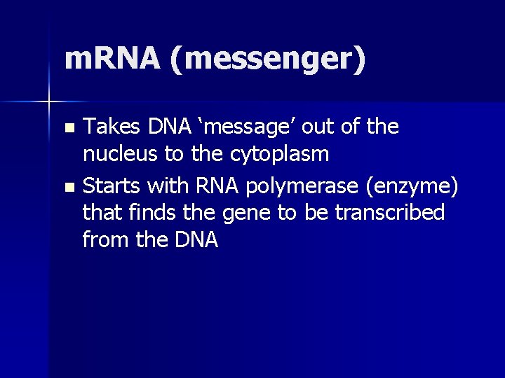 m. RNA (messenger) Takes DNA ‘message’ out of the nucleus to the cytoplasm n