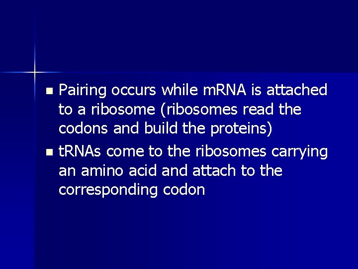 Pairing occurs while m. RNA is attached to a ribosome (ribosomes read the codons