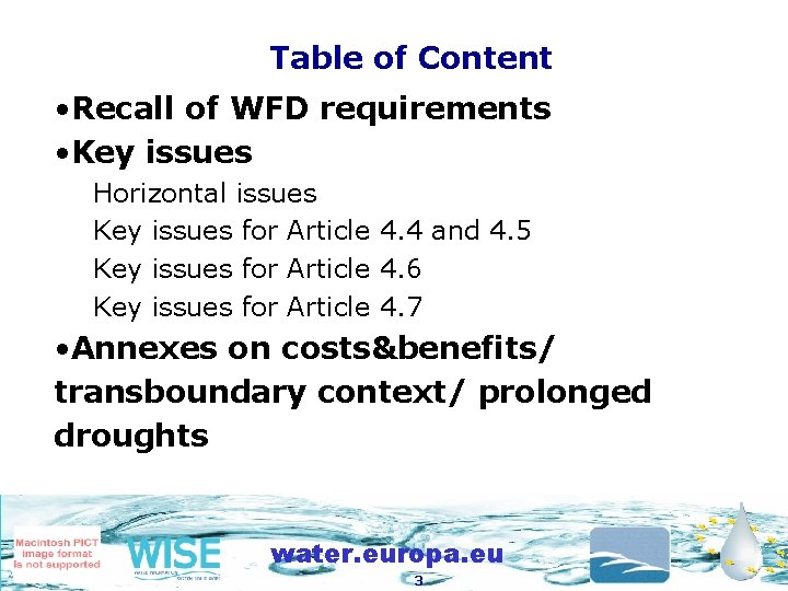 Table of Content • Recall of WFD requirements • Key issues Horizontal issues Key