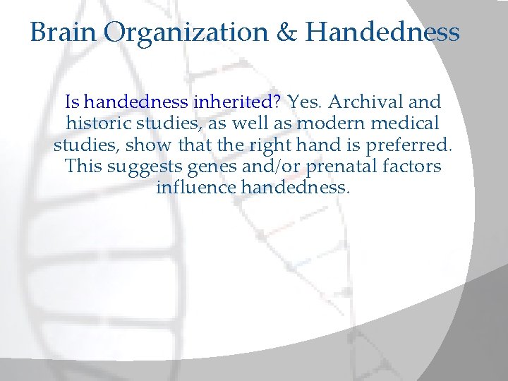 Brain Organization & Handedness Is handedness inherited? Yes. Archival and historic studies, as well