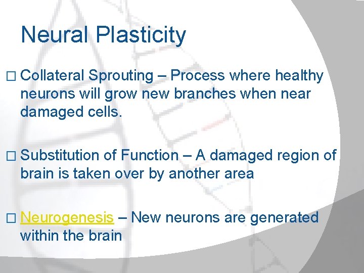 Neural Plasticity � Collateral Sprouting – Process where healthy neurons will grow new branches