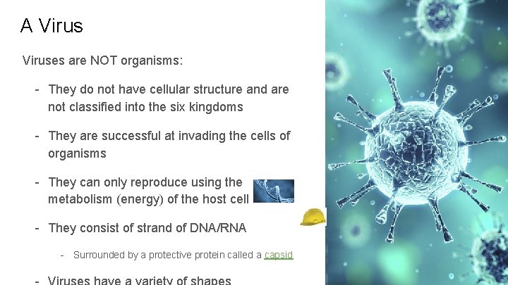 A Viruses are NOT organisms: - They do not have cellular structure and are