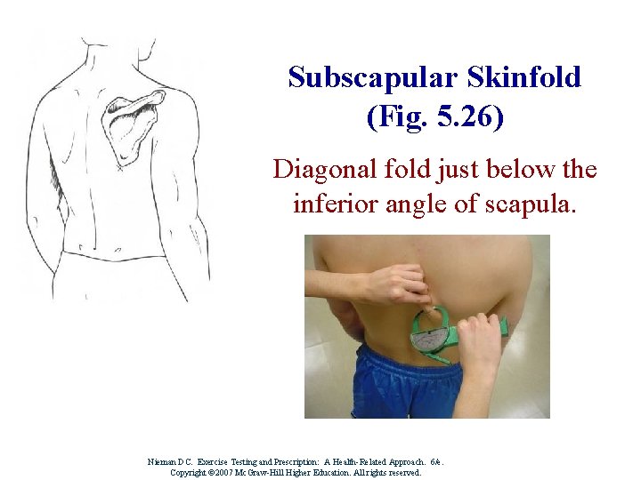 Subscapular Skinfold (Fig. 5. 26) Diagonal fold just below the inferior angle of scapula.
