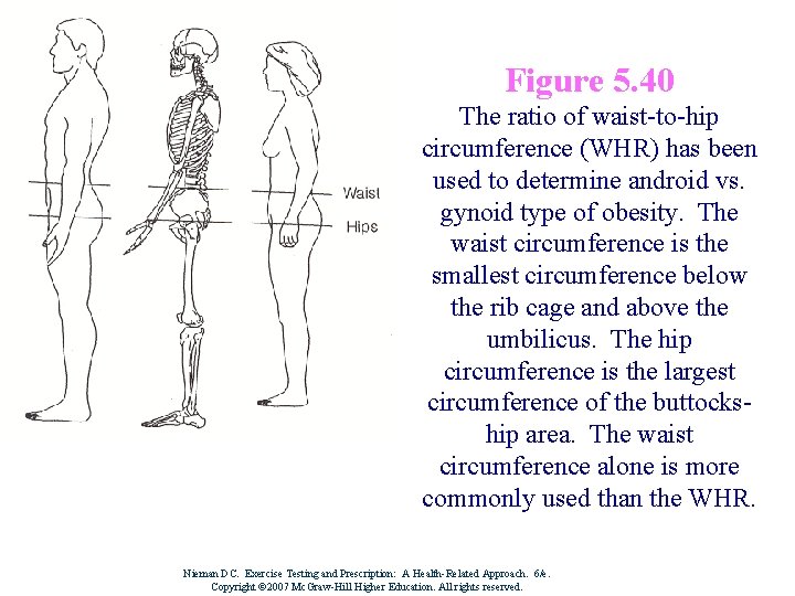 Figure 5. 40 The ratio of waist-to-hip circumference (WHR) has been used to determine