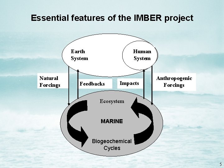 Essential features of the IMBER project Earth System Natural Forcings Human System Feedbacks Impacts