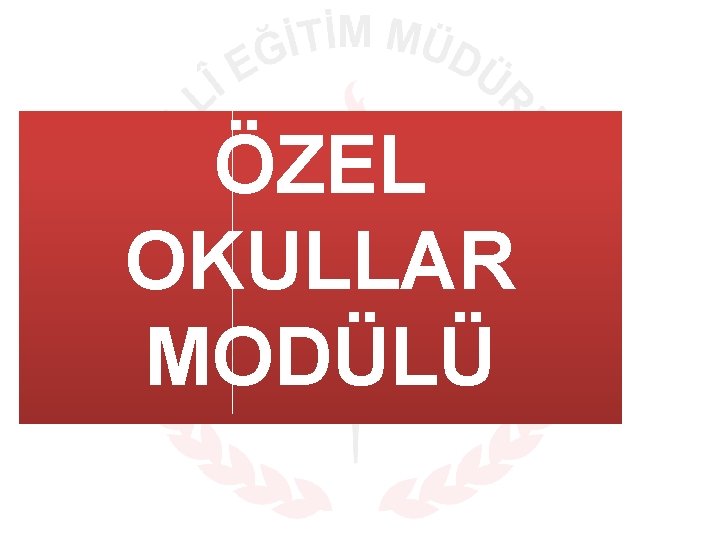 ÖZEL OKULLAR MODÜLÜ 