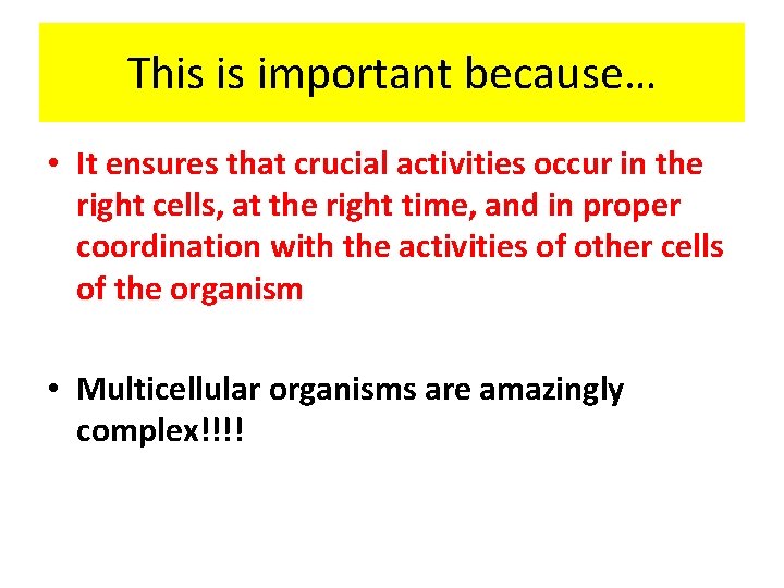 This is important because… • It ensures that crucial activities occur in the right