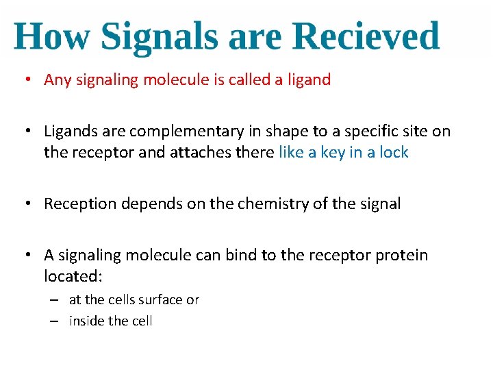 • Any signaling molecule is called a ligand • Ligands are complementary in