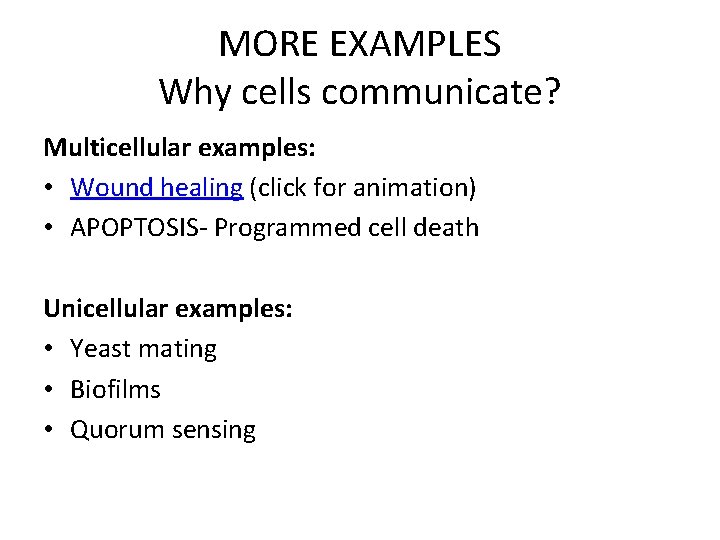 MORE EXAMPLES Why cells communicate? Multicellular examples: • Wound healing (click for animation) •