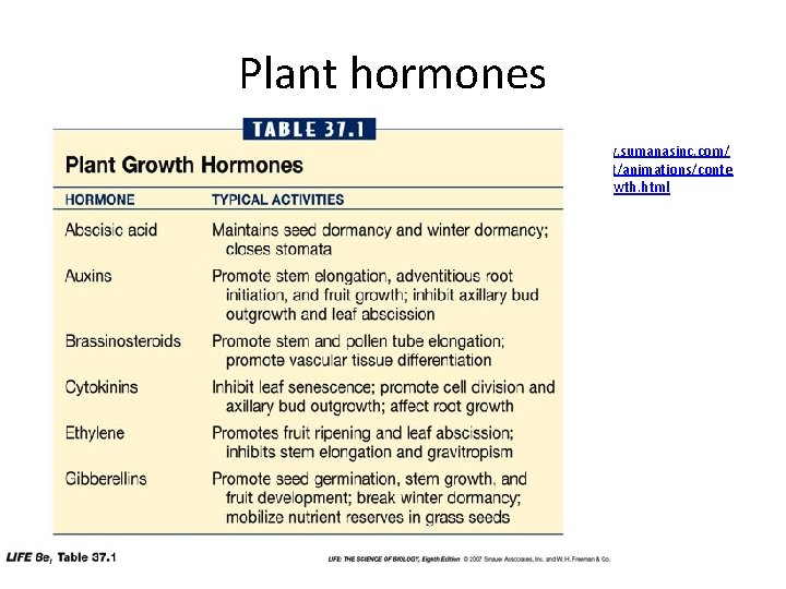Plant hormones • http: //www. sumanasinc. com/ webcontent/animations/conte nt/plantgrowth. html 
