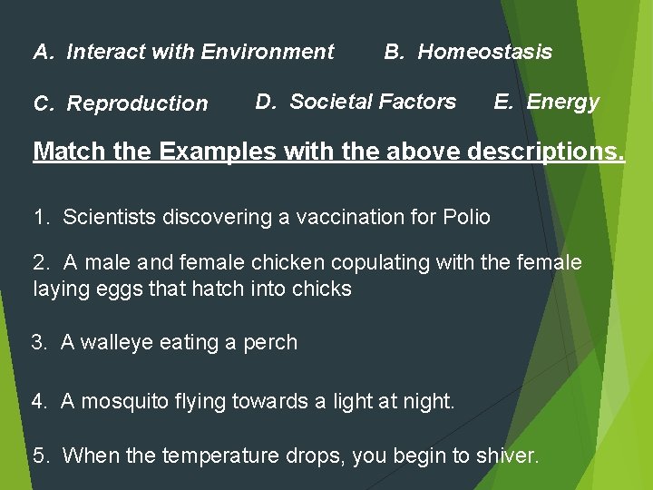 A. Interact with Environment C. Reproduction B. Homeostasis D. Societal Factors E. Energy Match