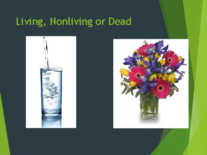 Living, Nonliving or Dead 
