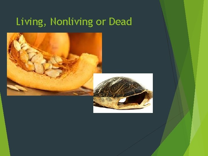 Living, Nonliving or Dead 