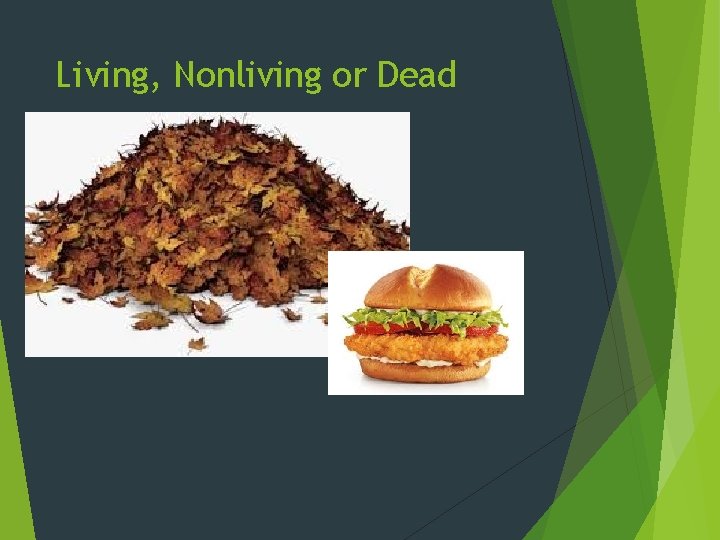 Living, Nonliving or Dead 