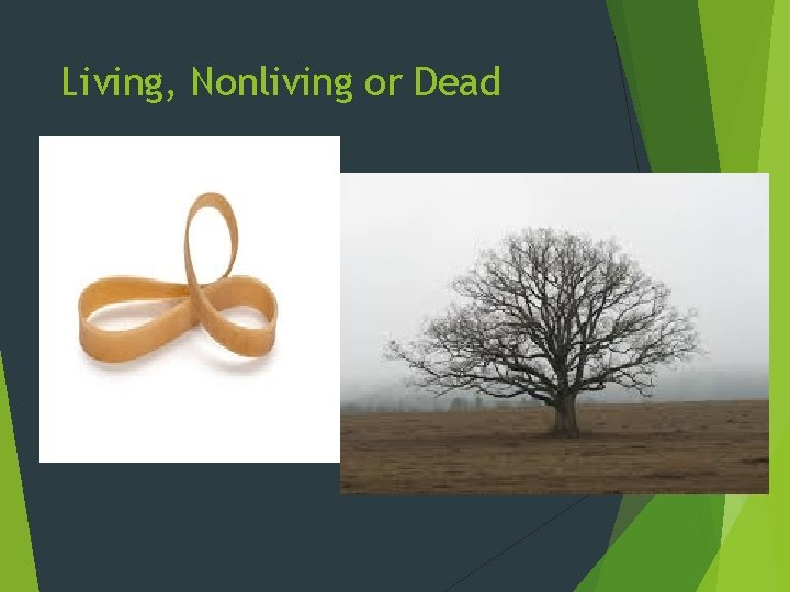 Living, Nonliving or Dead 