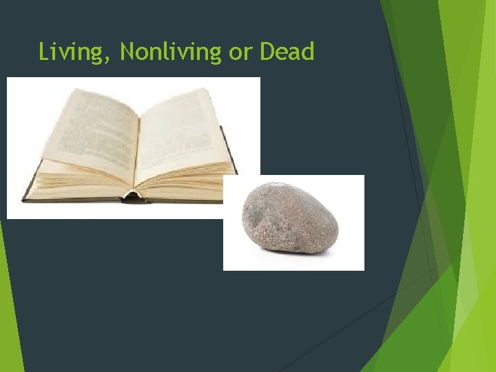 Living, Nonliving or Dead 