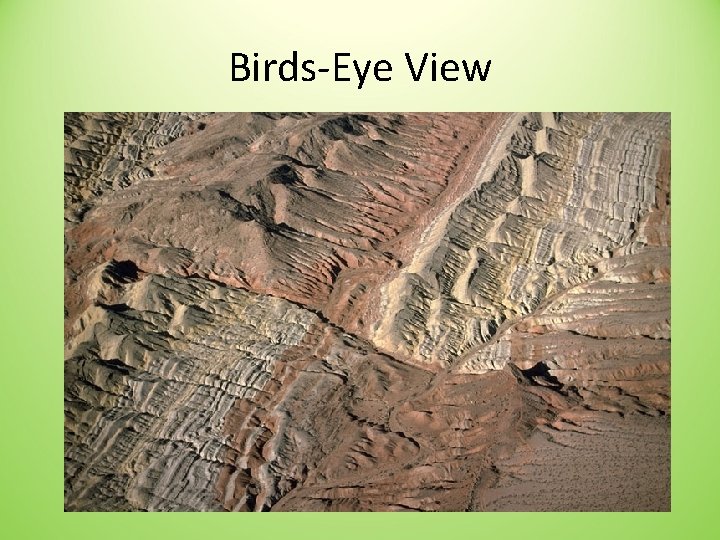 Birds-Eye View 