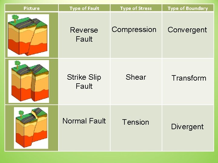 Picture Type of Fault Type of Stress Type of Boundary Reverse Fault Compression Convergent