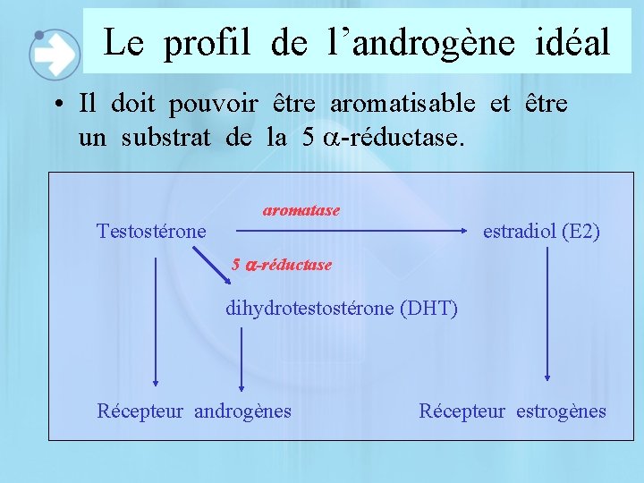 Le profil de l’androgène idéal • Il doit pouvoir être aromatisable et être un