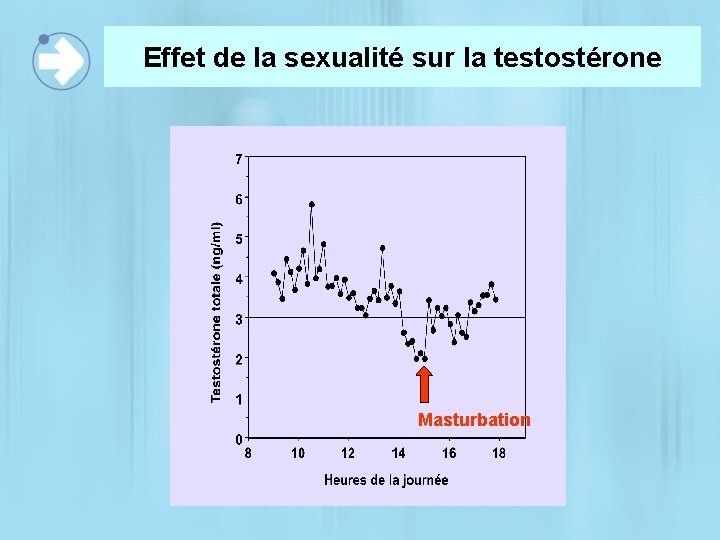 Effet de la sexualité sur la testostérone Masturbation 