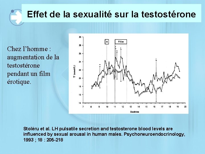 Effet de la sexualité sur la testostérone Chez l’homme : augmentation de la testostérone