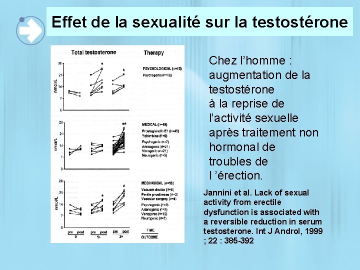 Effet de la sexualité sur la testostérone Chez l’homme : augmentation de la testostérone
