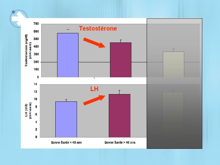 Testostérone LH 