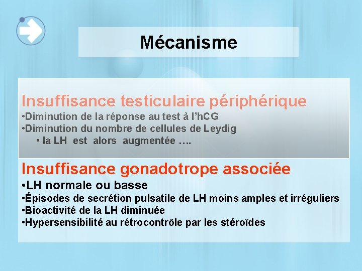 Mécanisme Insuffisance testiculaire périphérique • Diminution de la réponse au test à l’h. CG