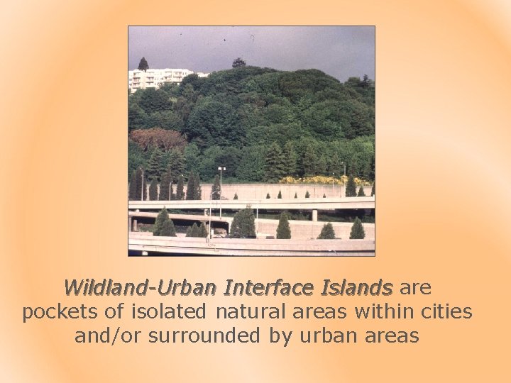 Wildland-Urban Interface Islands are pockets of isolated natural areas within cities and/or surrounded by