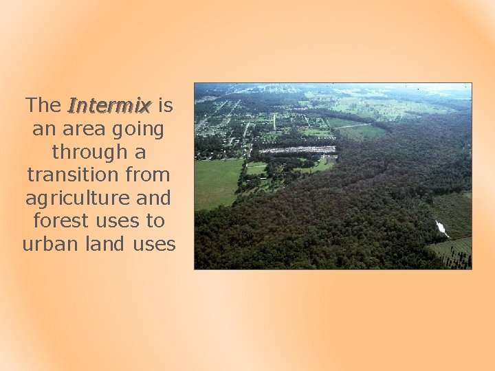 The Intermix is an area going through a transition from agriculture and forest uses