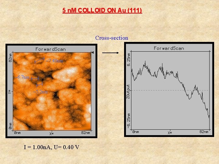 5 n. M COLLOID ON Au (111) Cross-section ~7. 48 nm ~6. 7 nm