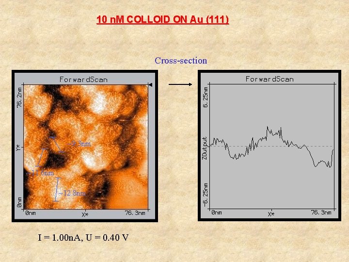 10 n. M COLLOID ON Au (111) Cross-section ~9. 3 nm ~11. 6 nm