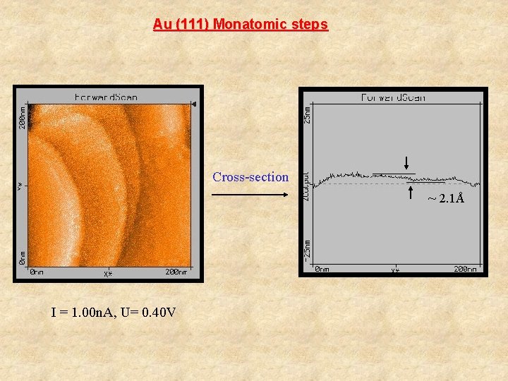 Au (111) Monatomic steps Cross-section ~ 2. 1Å I = 1. 00 n. A,