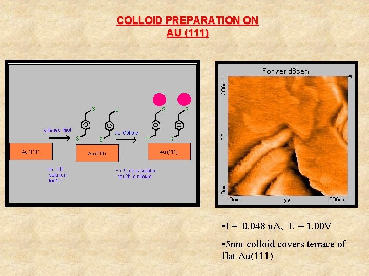 COLLOID PREPARATION ON AU (111) • I = 0. 048 n. A, U =
