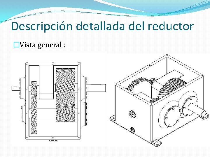 Descripción detallada del reductor �Vista general : 