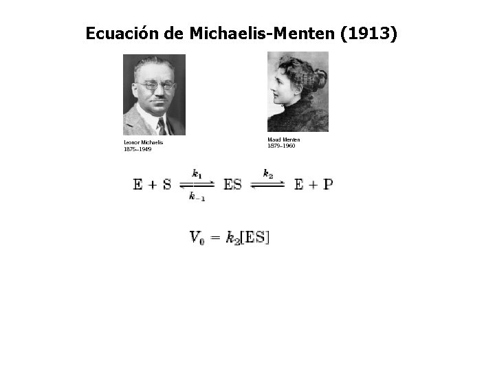 Ecuación de Michaelis-Menten (1913) 