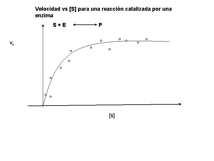 Velocidad vs [S] para una reacción catalizada por una enzima S+E P v 0