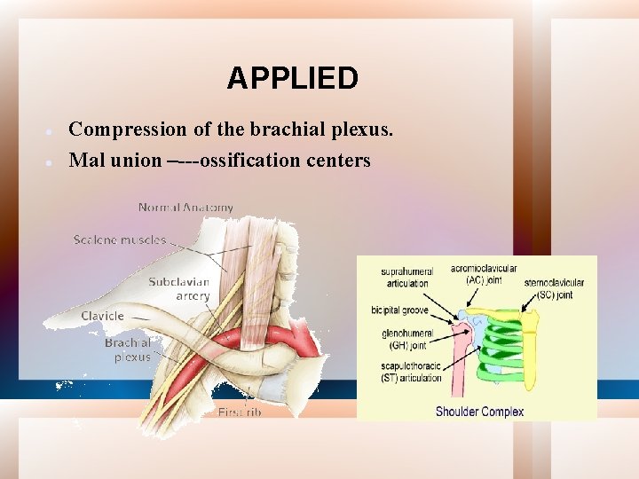 APPLIED Compression of the brachial plexus. Mal union –---ossification centers 