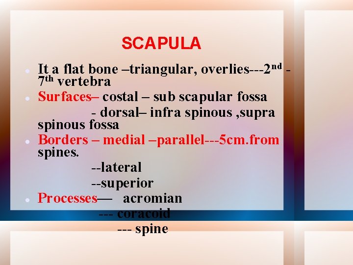 SCAPULA It a flat bone –triangular, overlies---2 nd 7 th vertebra Surfaces– costal –