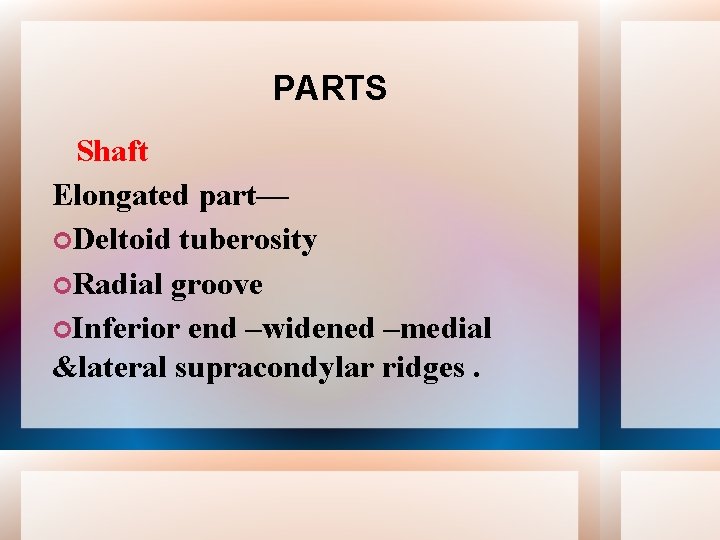 PARTS Shaft Elongated part— Deltoid tuberosity Radial groove Inferior end –widened –medial &lateral supracondylar