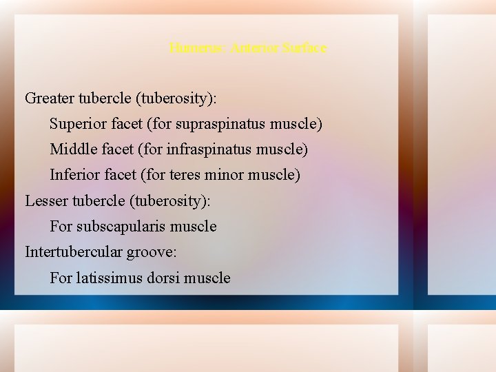 Humerus: Anterior Surface Greater tubercle (tuberosity): Superior facet (for supraspinatus muscle) Middle facet (for