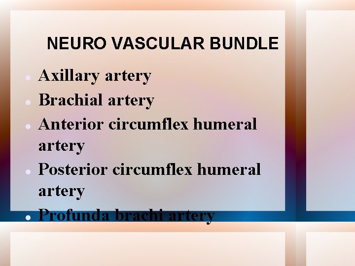 NEURO VASCULAR BUNDLE Axillary artery Brachial artery Anterior circumflex humeral artery Posterior circumflex humeral